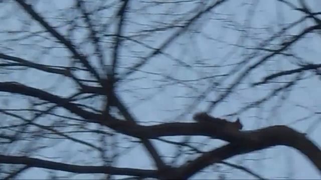 Зимняя Рождественская Прага! Рождественский базар! смотреть онлайн