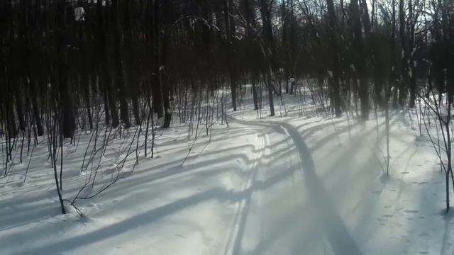 Обкатка самодельного снегохода