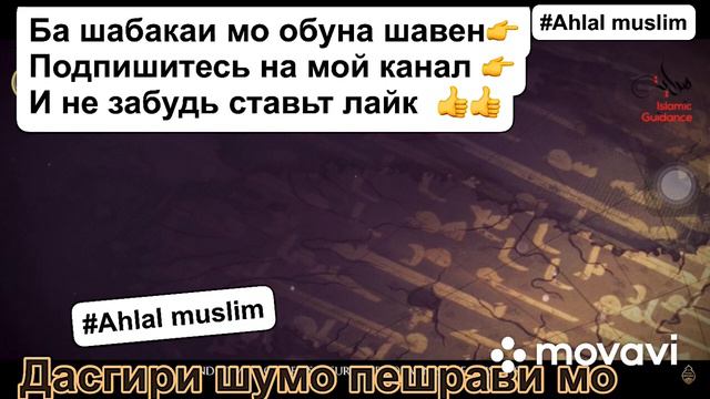 Почему они считают врагом ислам !посмотрите до конца и поделитесь видео подпишитесь #Ahlal_muslim смотреть онлайн