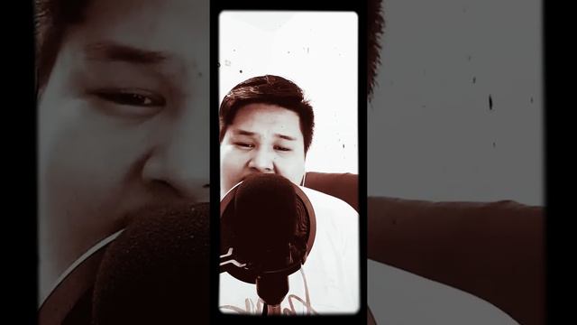 Backstreet Boys Medley (cover song using V8 soundcard and BM800) смотреть онлайн