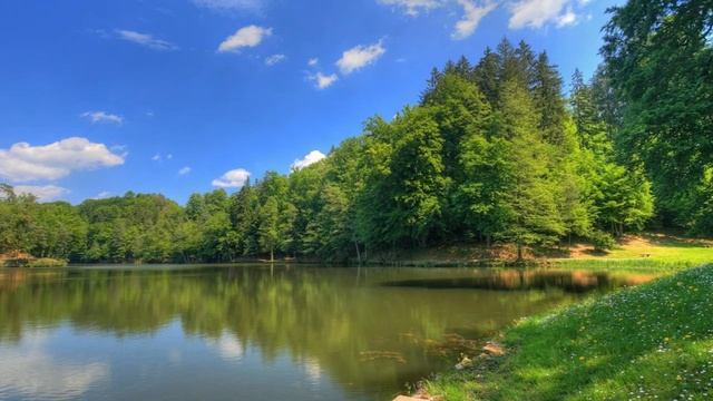 Почему комары пьют кровь / Почему комары кусают смотреть онлайн