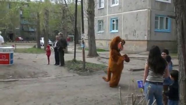 Кошка в Омске жжет.AVI смотреть онлайн
