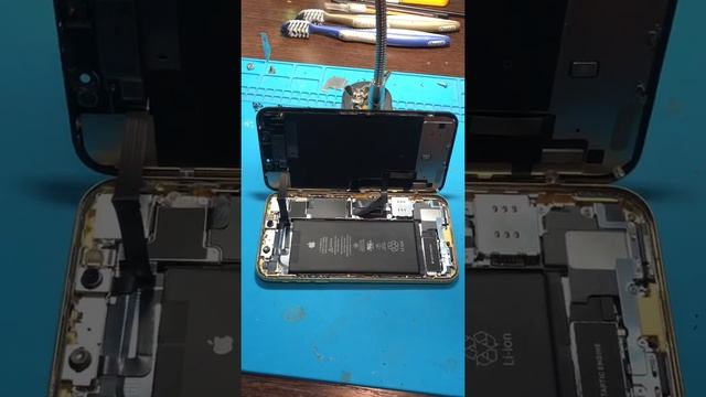 IPhone XR (восстановление) не фокусирует камера смотреть онлайн