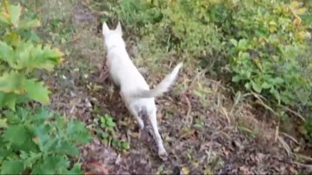 Долина Атлантов 2021 смотреть онлайн