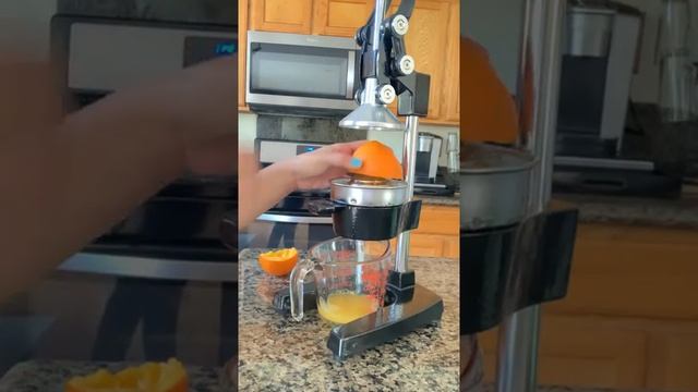 Zulay Professional Citrus Juicer (Trying it out) смотреть онлайн
