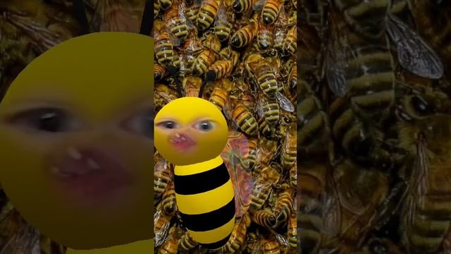 ? пчела!?? смотреть онлайн