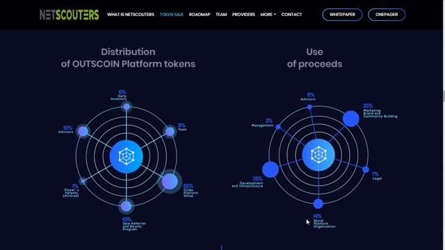 Обзор NETSCOUTERS (OUT): Что нужно знать о проекте? смотреть онлайн