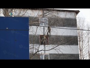 Собственный интернет магазин устроила супружеская пара