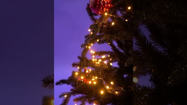 Ель ЗВЕЗДНАЯ РОССЫПЬ 150 см смотреть онлайн