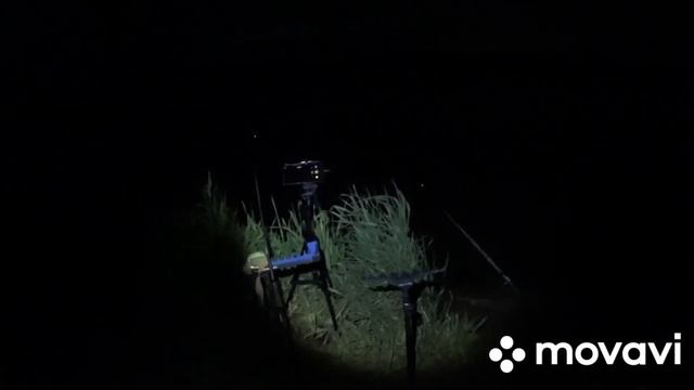 Ночной Фидер на Днепре. Бодрая рыбалка. смотреть онлайн