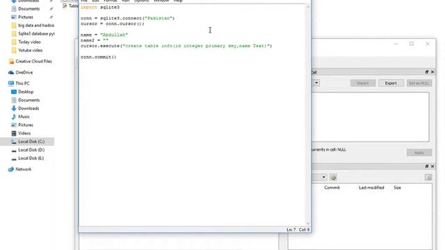 Inserting Data in sqlite3 database in python in urdu/hindi смотреть онлайн
