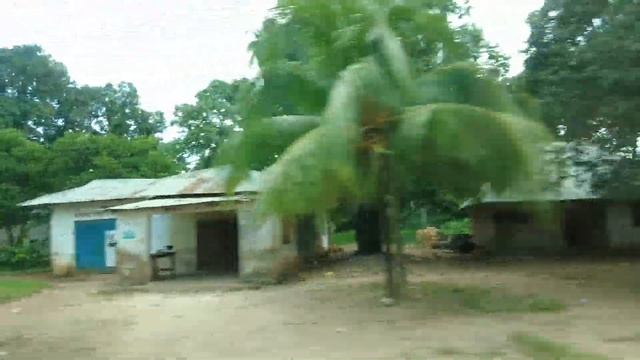 ПЕРВЫЙ РАЗ НА ЗАНЗИБАРЕ. МЫ В ШОКЕ. Обзор отеля Palumboreef Beach Resort 3 смотреть онлайн