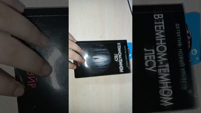 Вечерний блог с реборном Тихомиром