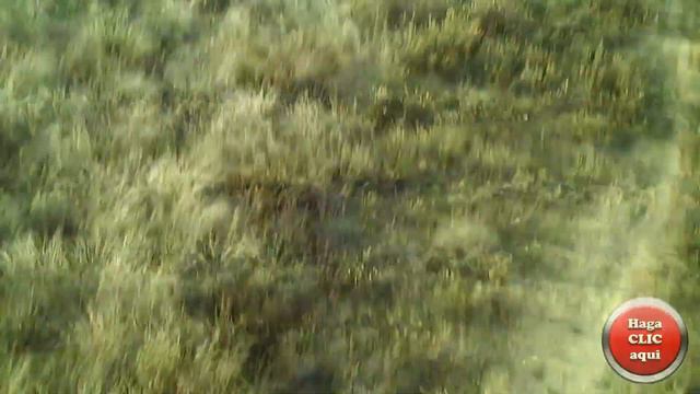 CAIDAS SYMA X8 HC CracH смотреть онлайн