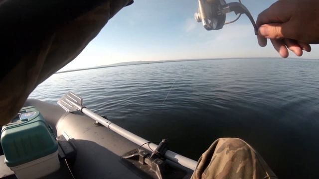 Рыбалка поиск щуки смотреть онлайн