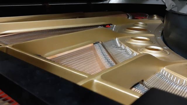 Chopin Prelude e minor Opus 28 with 1979 Yamaha C7 смотреть онлайн