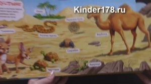 Говорящие окошки "В жаркой Африке" Азбукварик. Видео-обзор