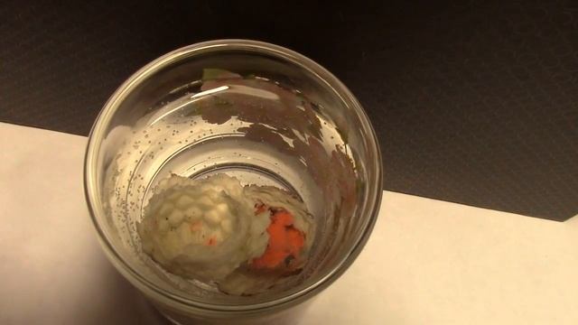 Яйца Динозавров