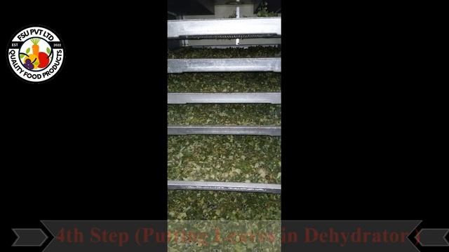 FSU Moringa Powder Processing| High Quality Product| By Dr. Saqib Jabbar смотреть онлайн
