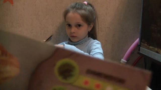 ИГУАНЫ МАКСИ&КО,ИГУАНА ЭББОТА И БОРОДАТЫЙ ДРАКОН смотреть онлайн