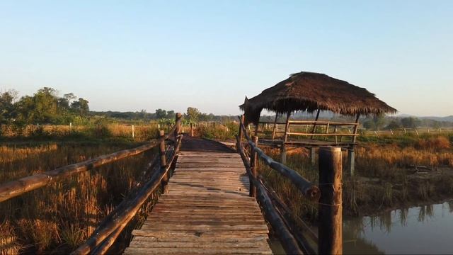 #AfricaTwin #KarooStreet #Metzeler Обзор резины!