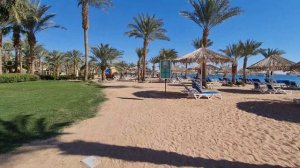 Лучший пляж в Египте!!! Jaz Sharm Dreams Resort 5*!