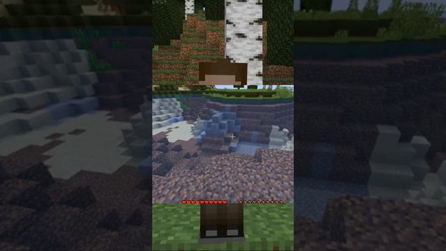 Ресурспак clear water #shorts #minecraft #майнкрафт #ресурспак #ресурспаки #resourcepack #egarik смотреть онлайн