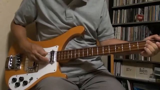 Country Dreamer ( Bass Cover ) смотреть онлайн
