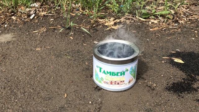 Инструкция ТАМБЕЙ лечебная шашка ВИХРЬ ФОМОР против плесени смотреть онлайн