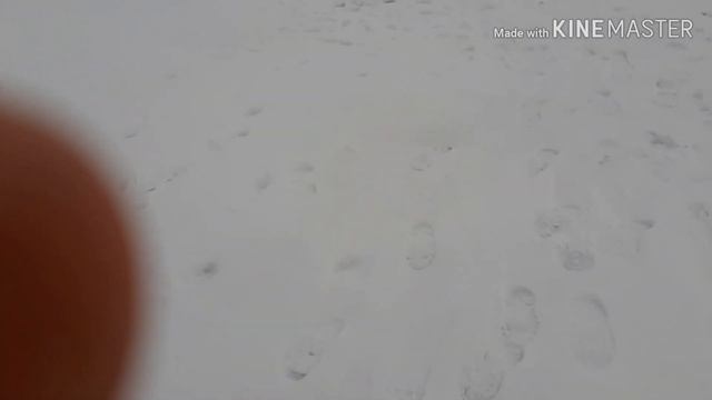 ЛОВИМ ЩУКА НА ОЗЕРЕ ЧИСТОЕ. РЫБАЛКА НА ЖЕРЛИЦЫ. смотреть онлайн