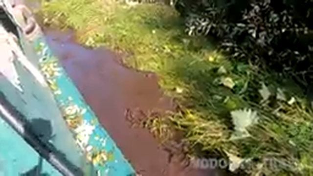 Часть 4. Дорога домой по Большому Васюганскому болоту. Просека мечты смотреть онлайн
