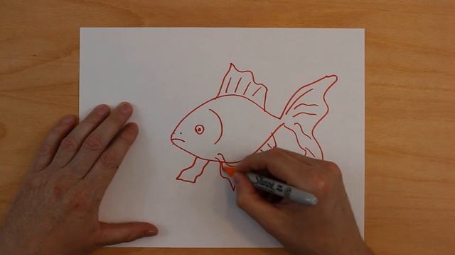 How to Draw a Fish - Drawing Fish - Как нарисовать рыбу смотреть онлайн