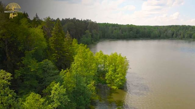 Entspannungsmusik Klavier | Naturgeräusche am Waldsee | Musik zum entspannen смотреть онлайн