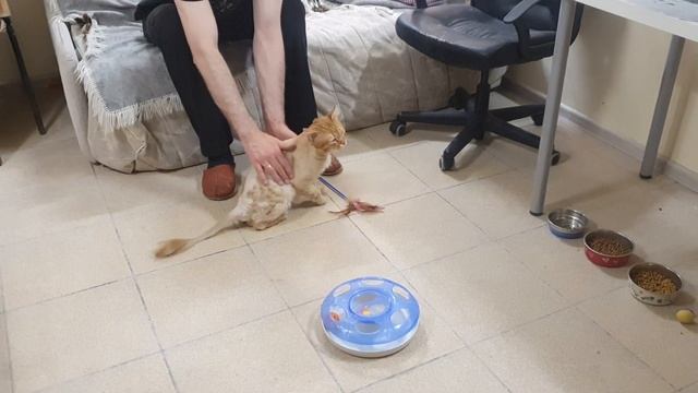 Рыжик смотреть онлайн