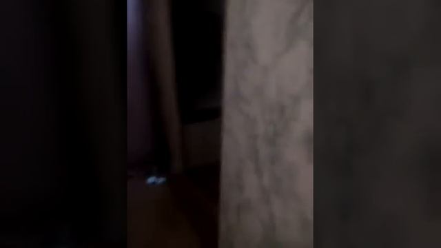 Мой брат играет в зомби блокс? смотреть онлайн
