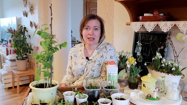 Без ЭТОГО не будет богатого урожая! Чем, когда и как подкормить рассаду? смотреть онлайн