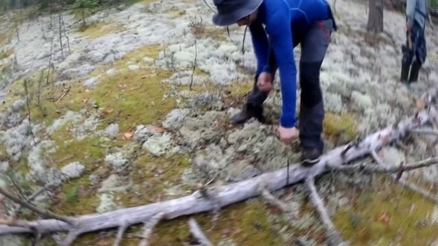 Ручная пила-цепь заменяет бензопилу в походе. смотреть онлайн