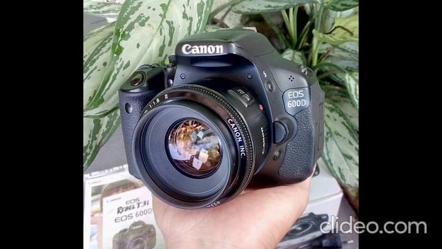 DSLR camera Canon EOS Rebel T7 with is II 18-55mm lens Canon EF 75-300mm III Lens смотреть онлайн