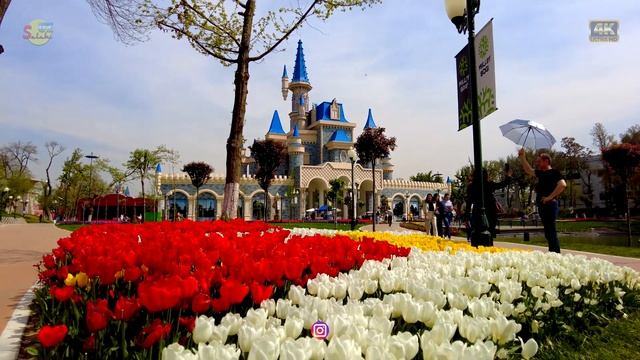 Голландские тюльпаны в Ташкенте! Парк Миллий Бог! | Dutch tulips in Tashkent! Milliy Bog' Park! смотреть онлайн