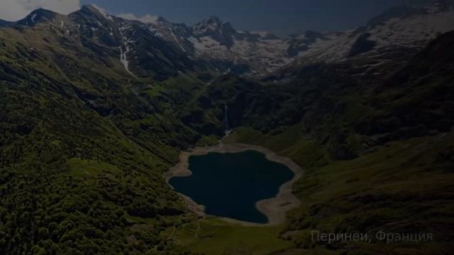Самые красивые леса смотреть онлайн