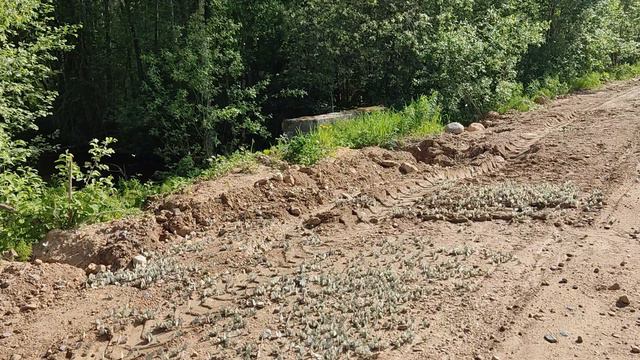 БАБОЧКИ_2 смотреть онлайн