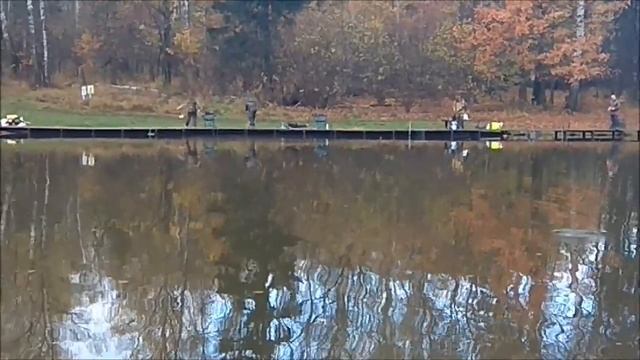 Форели нравится лапша и паста. Клёвое место, Лосиный остров. смотреть онлайн