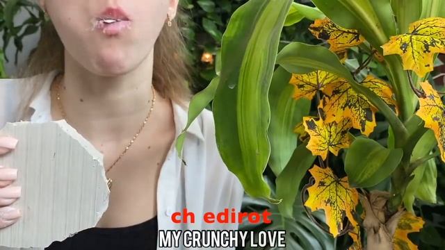 [ASMR] My Crunchy Love (edit) Неделя плиток / Week of tiles / day 4 /сh editor смотреть онлайн