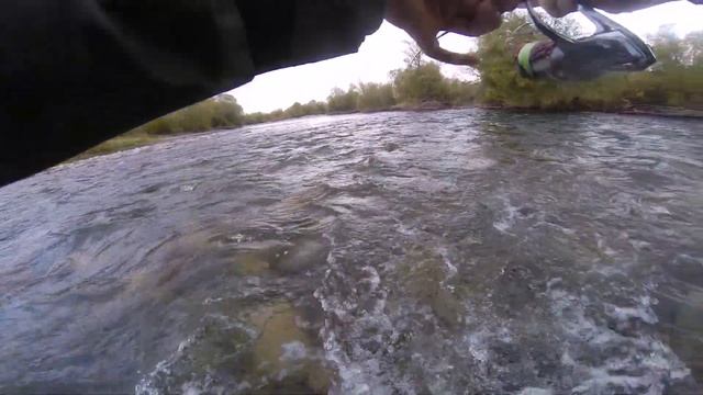 Ловля дикой форели на спиннинг ! смотреть онлайн