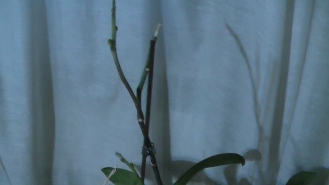 Новый Год закончился, ждем весны! смотреть онлайн