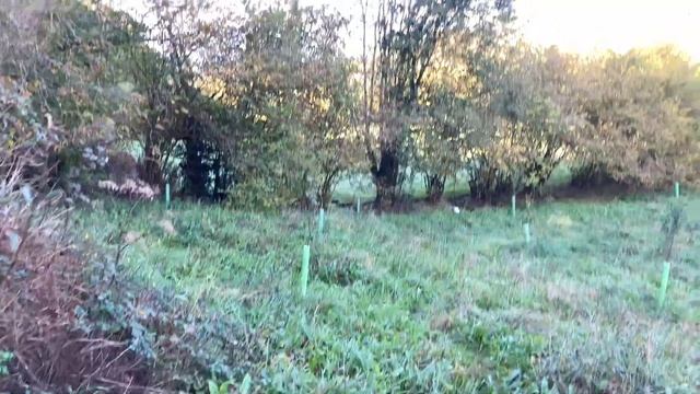 # 253 Земельный Участок В Испании. Работы И Дальнейшие Планы.Земля В Испании. Купить Землю В Испани смотреть онлайн