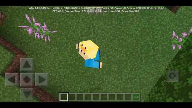 НОВЫЕ СЕКРЕТНЫЕ АНИМАЦИИ ИГРОКА для Minecraft pe 1.13.0.15| СКАЧАТЬ СЕЙЧАС БЕСПЛАТНО смотреть онлайн