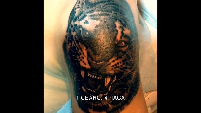 3 d tattoo татуировка тигр tiger на плече в черно-белом варианте. Сеанс 4,5 часа 4 перекура. смотреть онлайн
