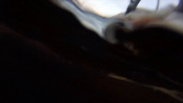 Бобриная струя атакует смотреть онлайн