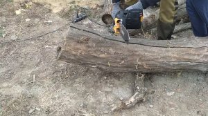 Купил себе действительно нужный инструмент для дома!  Цепная электропила DEKO DKEC16 с OZON